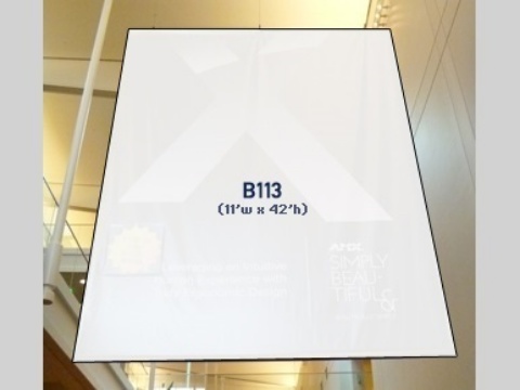 Picture of B113