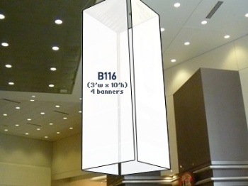 Picture of B116