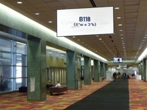 Picture of B118