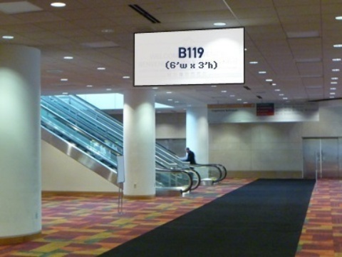 Picture of B119