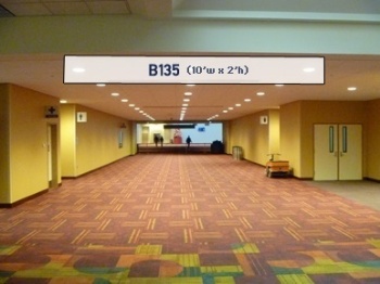 Picture of B135