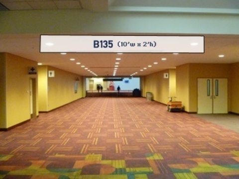 Picture of B135