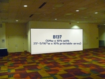 Picture of B137