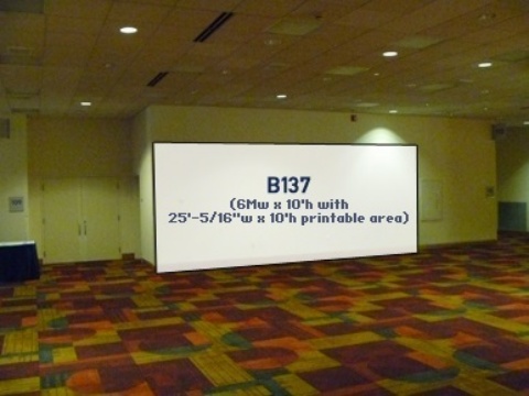 Picture of B137