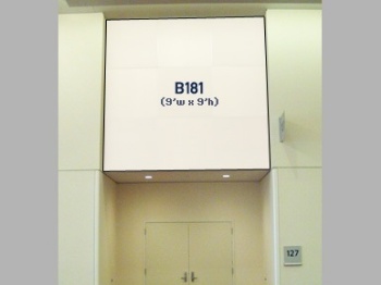 Picture of B181