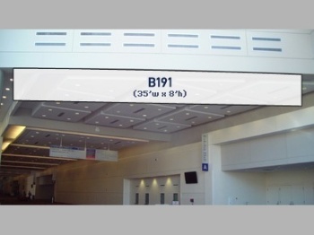 Picture of B191