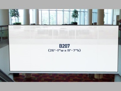 Picture of B207