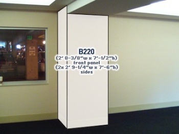 Picture of B220